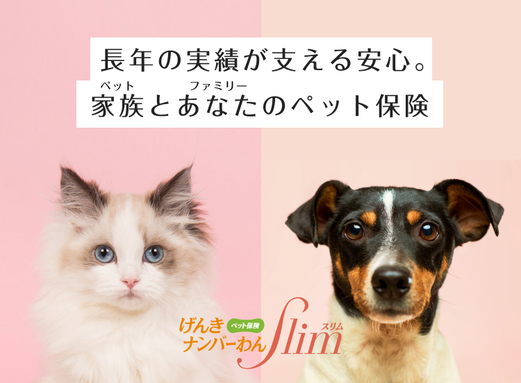 長年の実績が支える安心。家族とあなたのペット保険