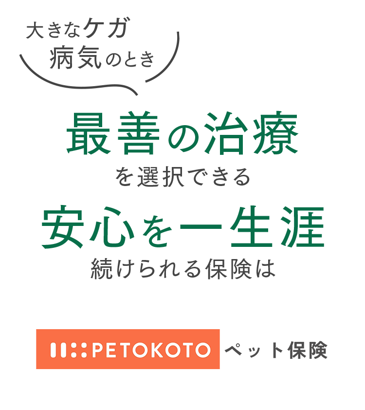 大きなケガ・病気のとき、最善の治療を選択できる、安心を一生涯続けられる保険はPETOKOTOペット保険