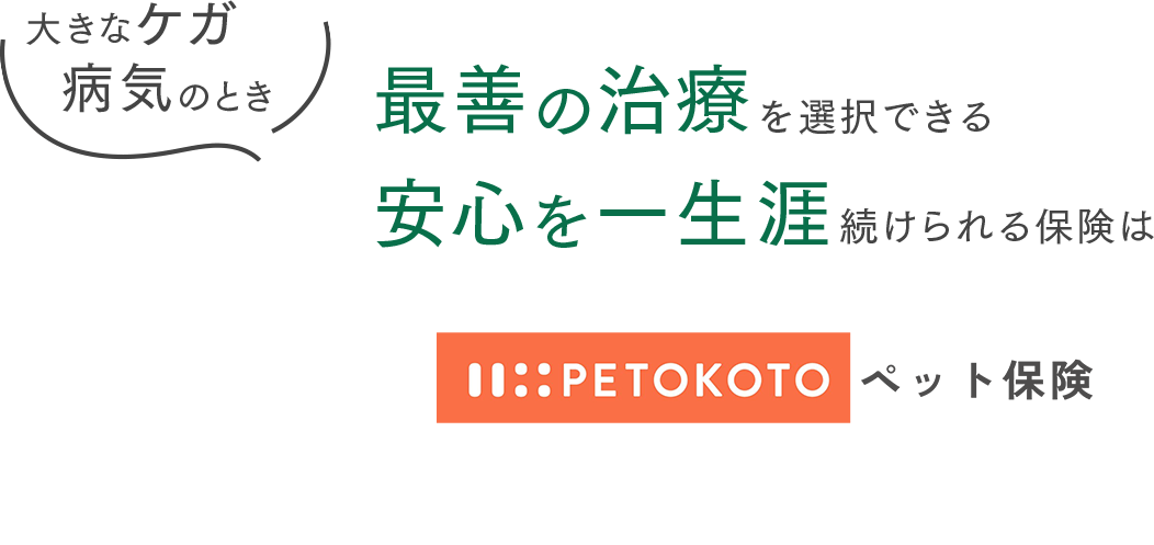 大きなケガ・病気のとき、最善の治療を選択できる、安心を一生涯続けられる保険はPETOKOTOペット保険