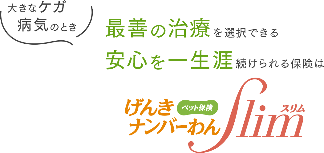 大きなケガ・病気のとき、最善の治療を選択できる、安心を一生涯続けられる保険はげんきナンバーわんスリム