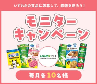 ペット 販売済み ファミリー お得