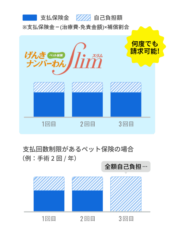 ペット ファミリー げんき ナンバー ストア わん スリム