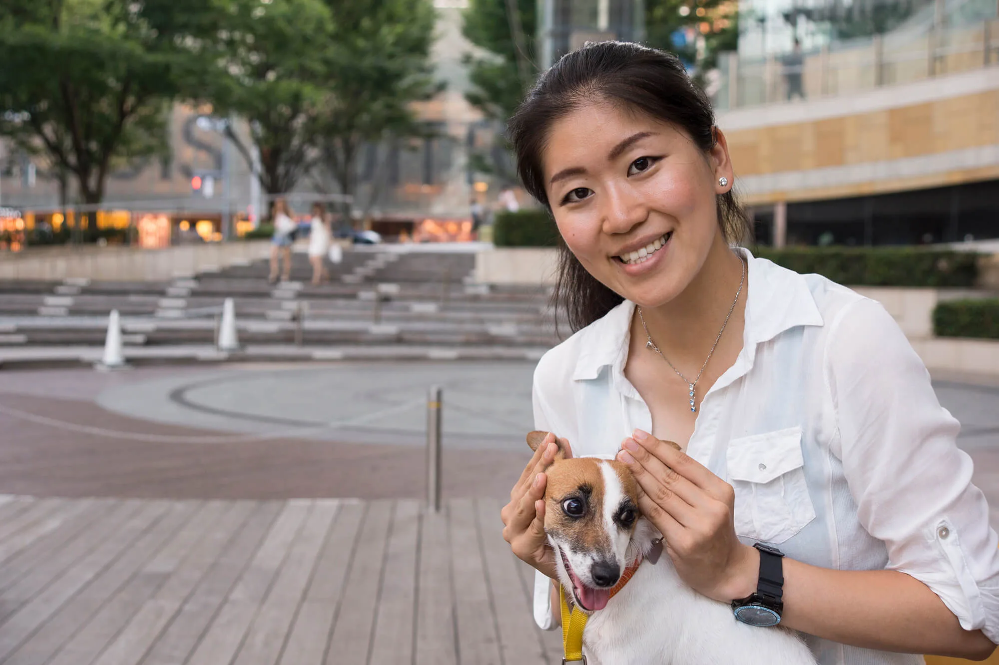 犬に 無駄吠え はない なぜあなたの愛犬は吠えるのか ペットニュースストレージ ペット ファミリー損保