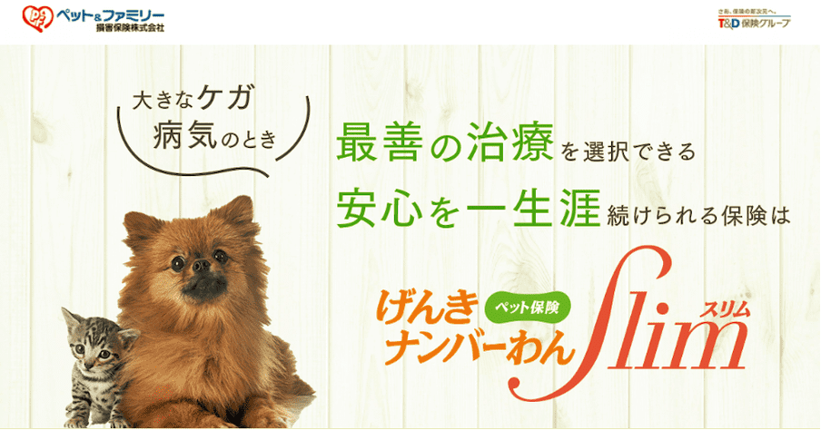 ペット保険の告知義務とは？重要性と「違反がバレる」意味を解説