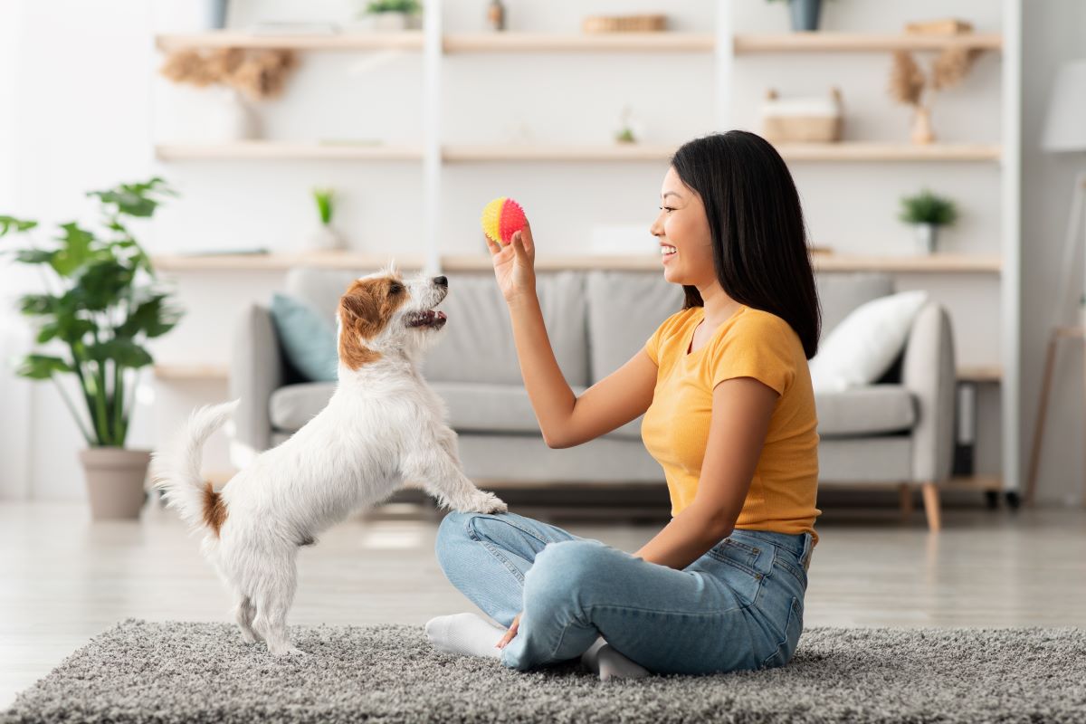 犬を飼うメリットを知りたい！飼い主さんが語る犬との生活がステキな理由