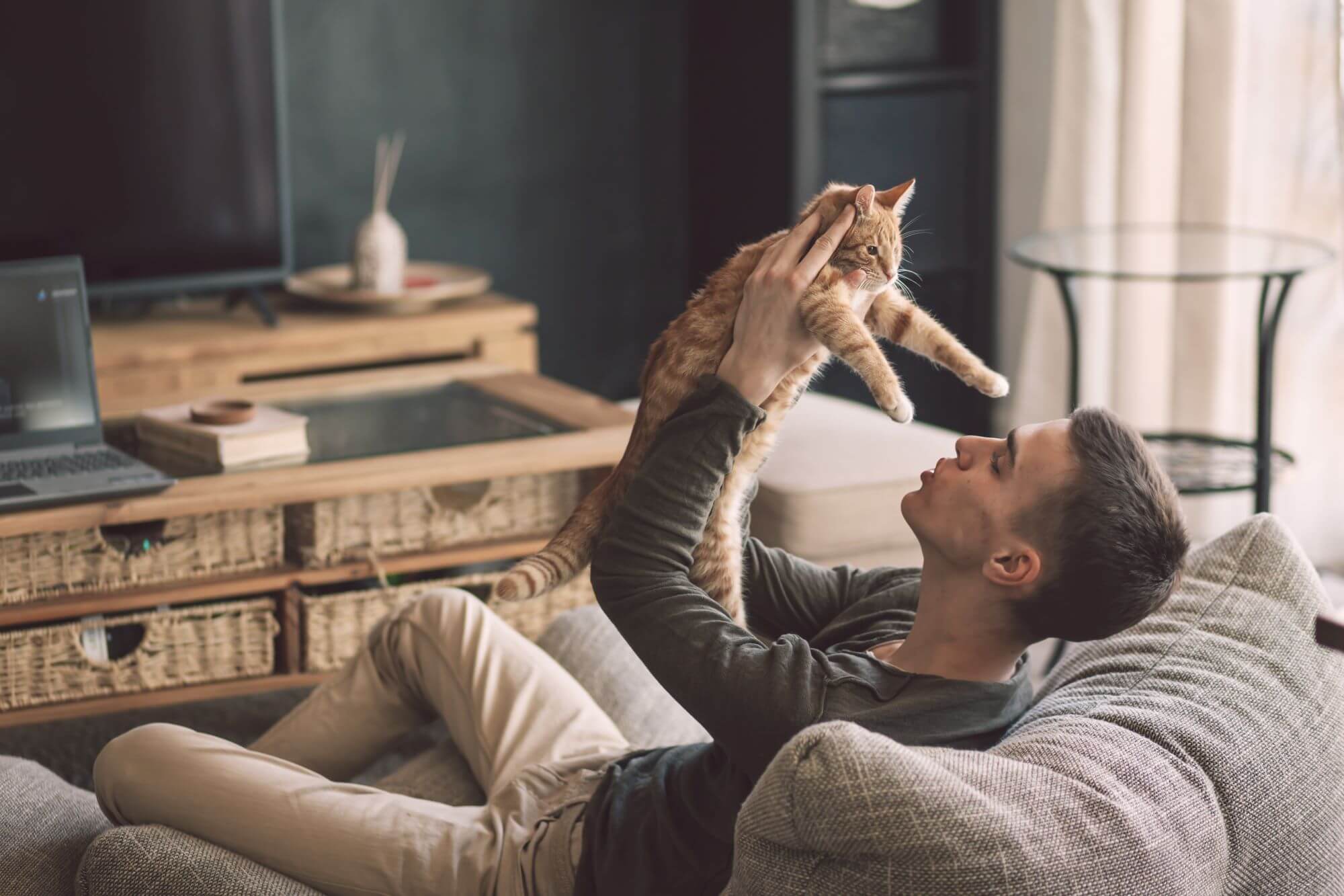 猫の多頭飼いで後悔しないために知っておきたいこと！失敗例やケンカの対策などリアルな声を徹底調査