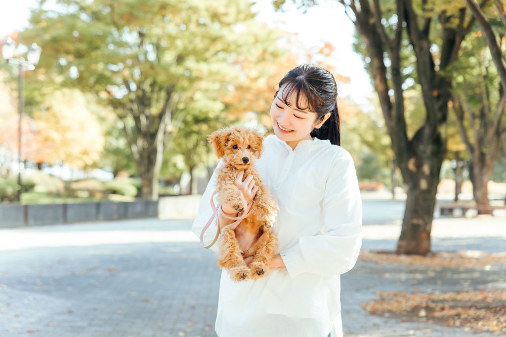 犬のペット保険は若いうちに加入するのが大切な理由